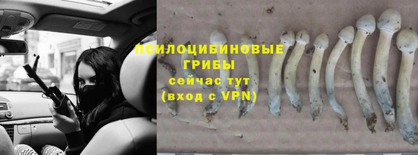 не бодяженный Зерноград