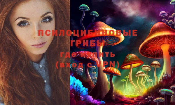 герыч Зеленокумск