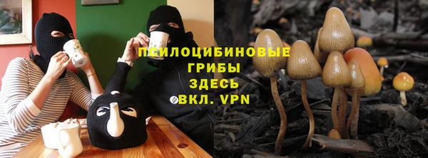 герыч Зеленокумск