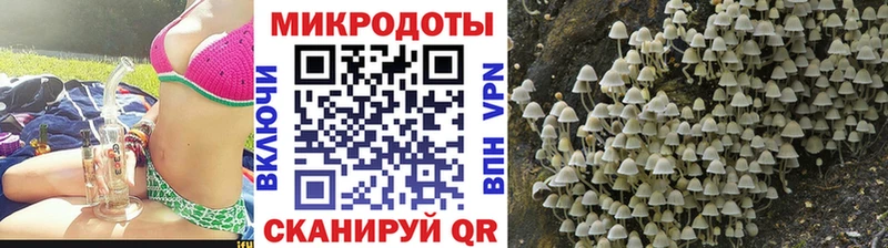 Купить закладки  Волгореченск  Псилоцибиновые грибы прущие грибы 